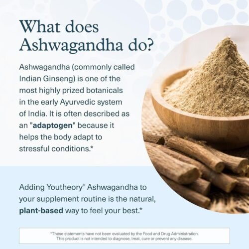 youth theory ashwagandha price in Bangladesh (bd)