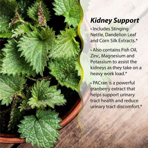 Irwin Naturals 2-In-1 Kidney & Liver Super Cleanse