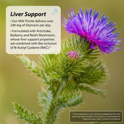Irwin Naturals 2-In-1 Kidney & Liver Super Cleanse bd