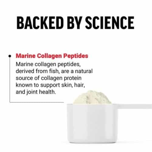 Force Factor Marine Collagen Powder in Bangladesh