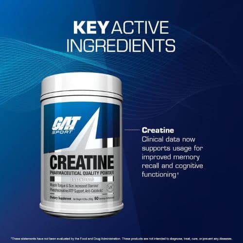 GAT Creatine Monohydrate Powder in Bd