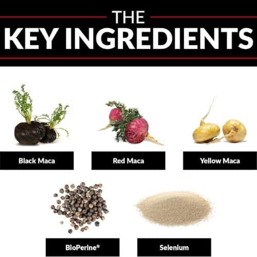 Force Factor Maca Max 2000 mg