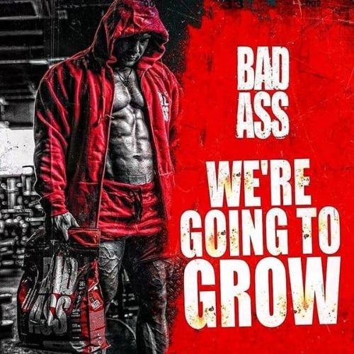 Bad Ass Mass Gainer price in Bangladesh