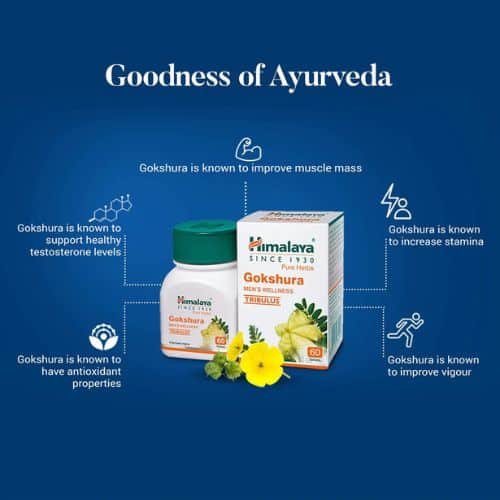 Himalaya-gokshura-bd