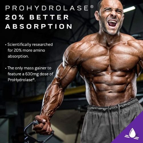 Muscletech  Mass Tech Elite