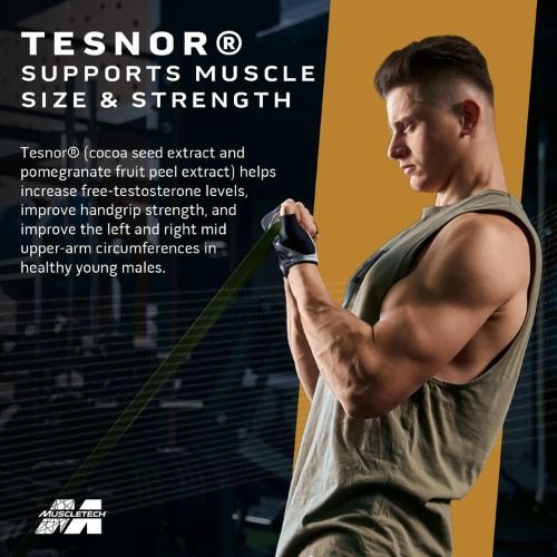 Muscletech-Test-HD-Bd