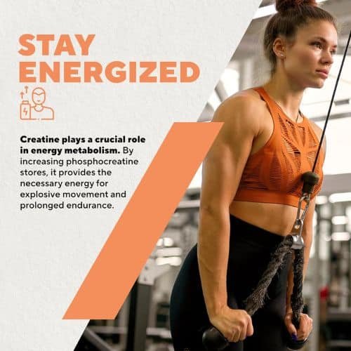 MyProtein Creatine Monohydrate powder in Bangladesh