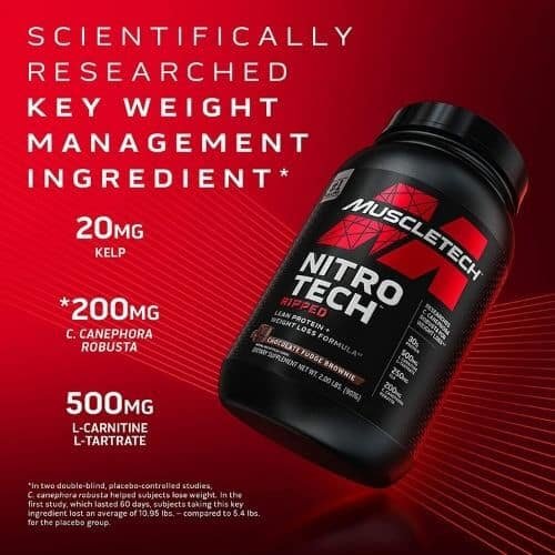 Nitro-Tech Ripped Price in bd