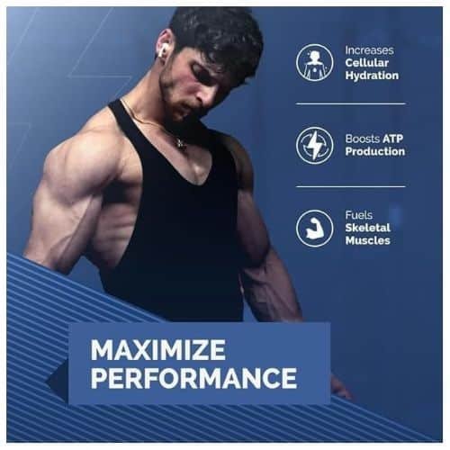 Wellcore Creatine in Bd