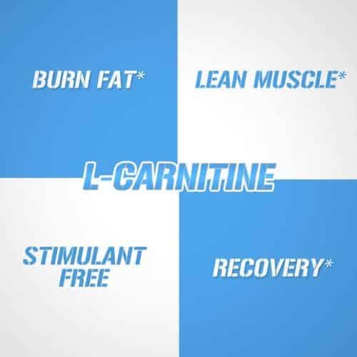 evl-l-carnitine-bd