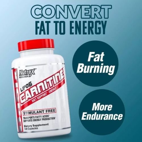 lipo-6-l-carnitine-bd