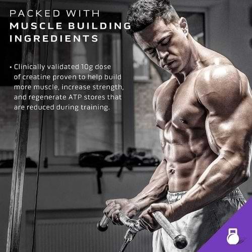 muscletech-mass-tech-extreme-bangladesh
