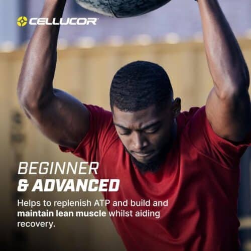 Cellucor Creatine Monohydrate Price in Bangladesh