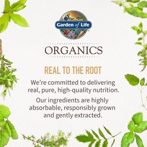 Garden of Life Organics Fair Trade Gelatinized Peruvian Maca Root Energy Boost powder