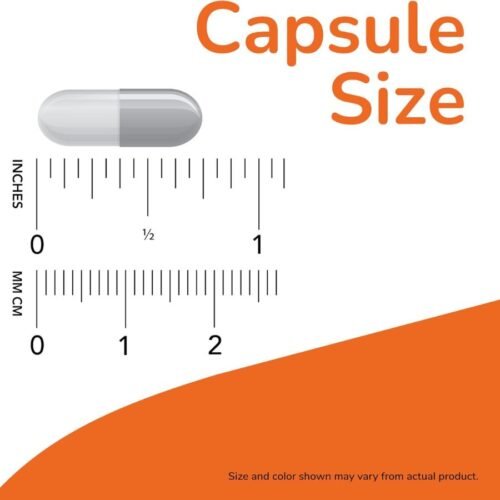 NOW Supplements, L-Tyrosine 500 mg(120 Capsules) price in Dhaka