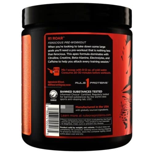 Rule-1 Roar- Pre-Workout Powder with Creatine(30 Servings) price in Dhaka