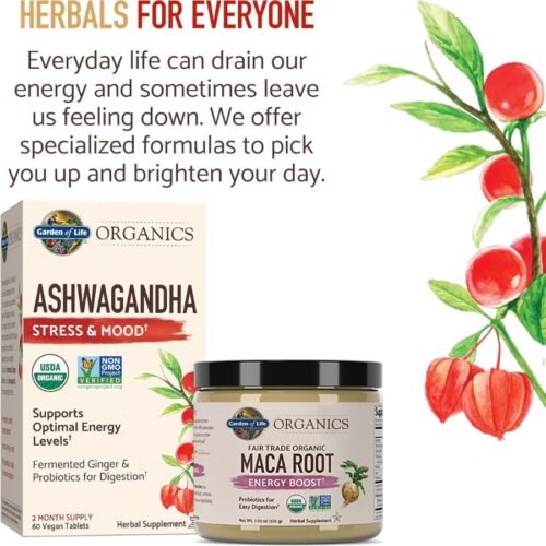 Garden of Life Organics Fair Trade Gelatinized Peruvian Maca Root Energy Boost