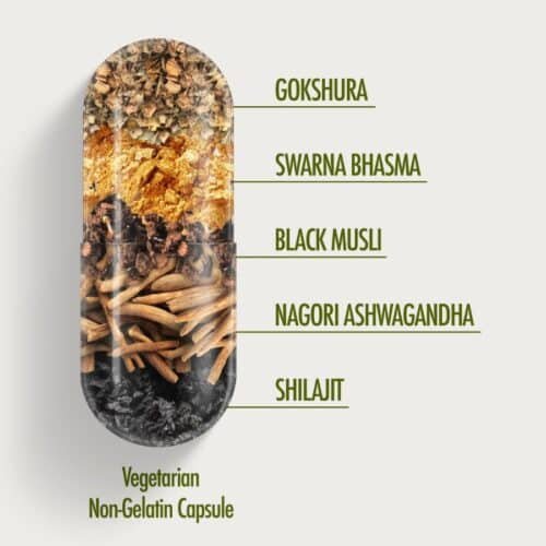 Kapiva Ashwagandha Gold Nagori Ashwagandha 60 Caps price in Bangladesh