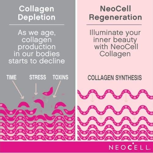 NeoCell Grassfed Collagen Peptides Powder 600g price in Bangladesh