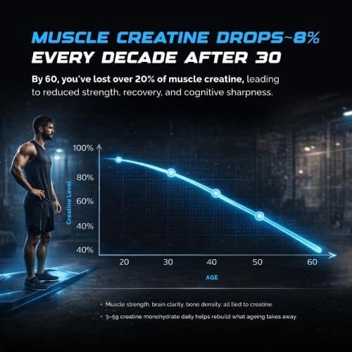 Wellcore Pure Micronised Creatine Powder