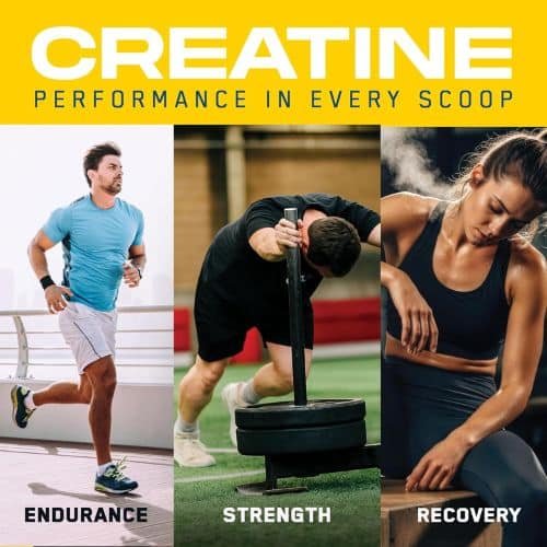 Applied Nutrition Creatine + Peptide Powder 5g Creatine Monohydrate