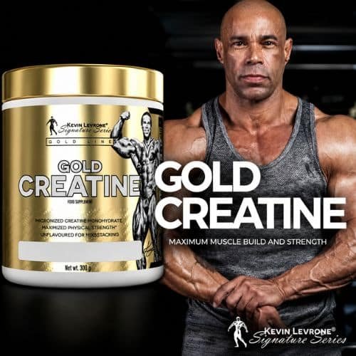 Levrone Gold Creatine Orange Mango Flavour (300G) price in Dhaka