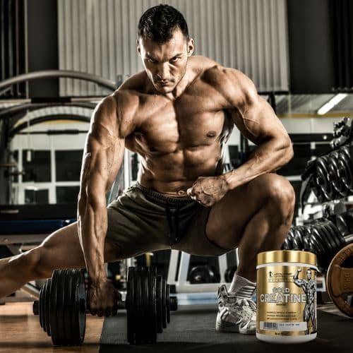 Levrone Gold Creatine Orange Mango Flavour (300G)