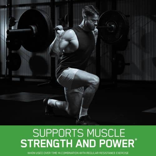 Optimum Nutrition (ON) Micronized Creatine Powder – 250 g